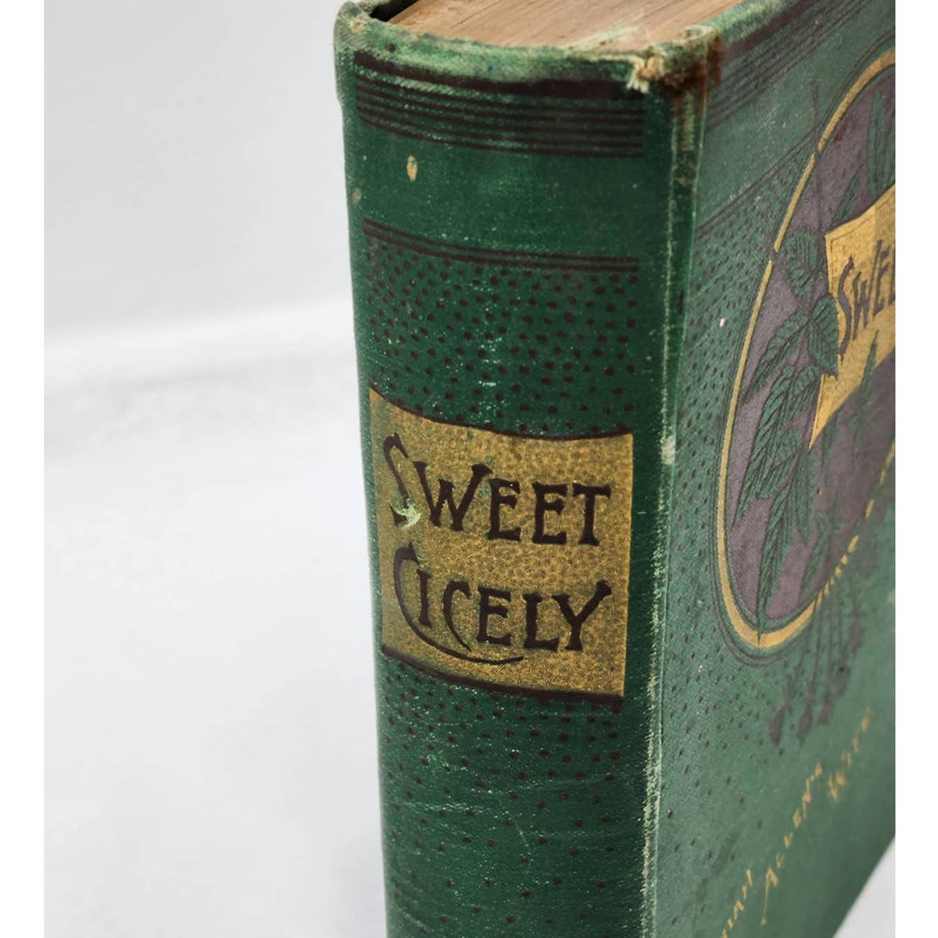 Sweet Cicely Or Josiah Allen A Politician By Marietta Holley, Antiquarian 1887
