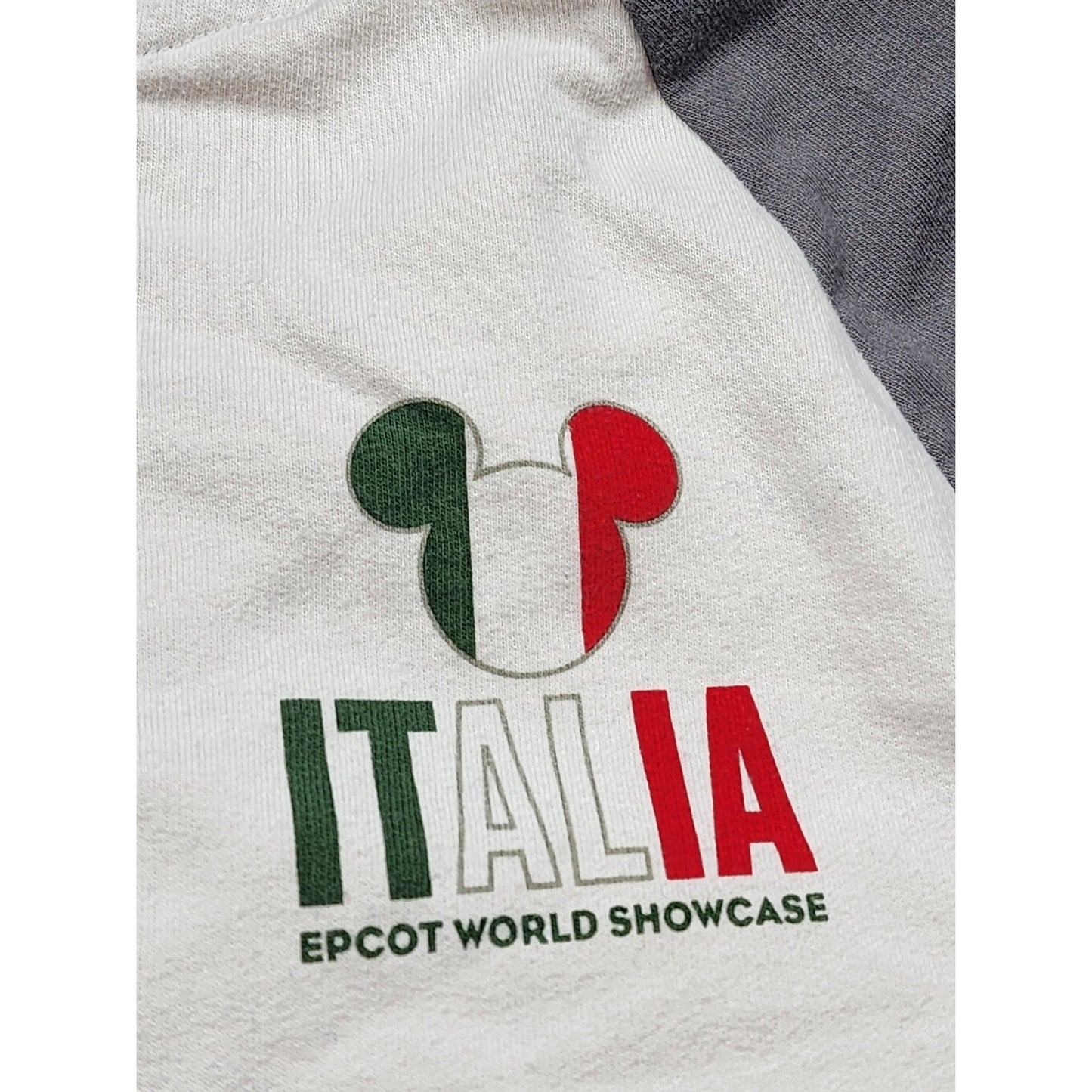 Disney Epcot World Showcase Italia Hoodie Medium Full Zip Sweatshirt Mickey Gray
