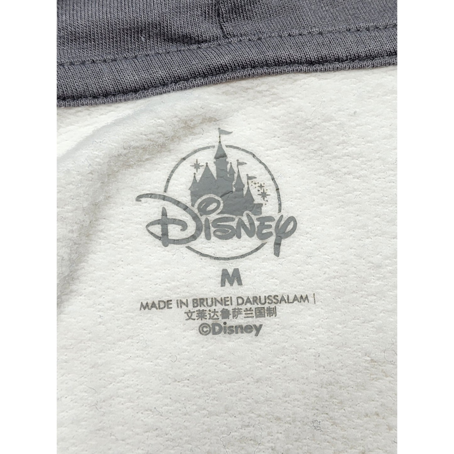 Disney Epcot World Showcase Italia Hoodie Medium Full Zip Sweatshirt Mickey Gray