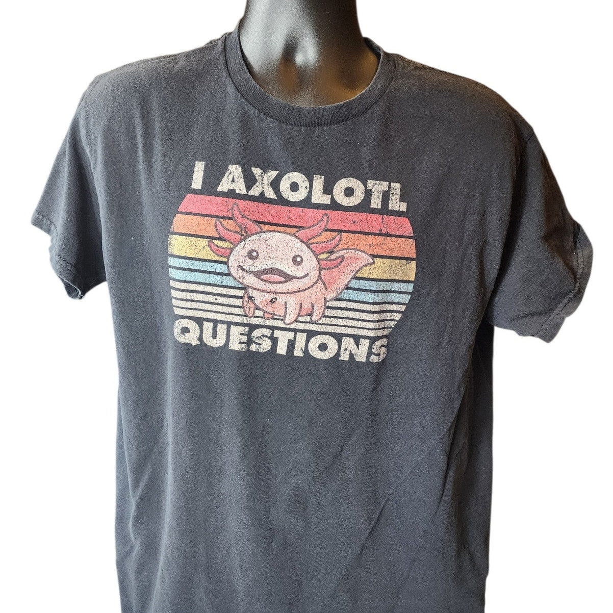 Axolotl Graphic TShirt Medium Vintage Style Pun Tee Humor Retro Rainbow Meme Y2K