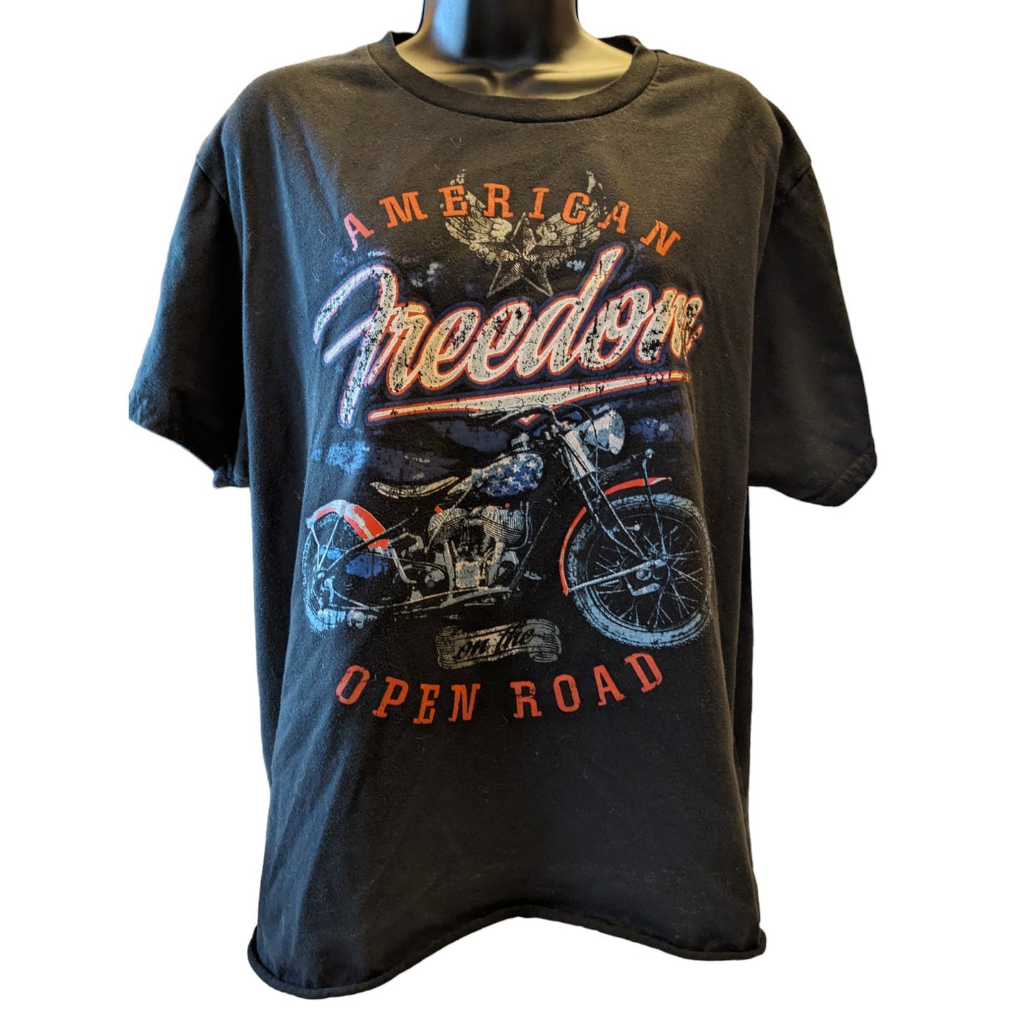 Vintage American Freedom On The Open Road Celebrate Patriotic Womens XL Biker