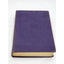 The Guest Of Quesnay By Booth Tarkington Illustrated Antiquarian Vintage 1916