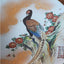 Large Asian Decorative Peacock Plate 15" W/Box Heian Kurita Hiroshige Mt Kyoumi