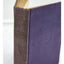 The Guest Of Quesnay By Booth Tarkington Illustrated Antiquarian Vintage 1916
