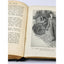 The Man Who Could Not Lose By Richard Harding Davis Illustrated Antiquarian 1919