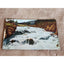 Postcard Lot c1909 Yellowstone National Park Firehole Cascade Old Faithful