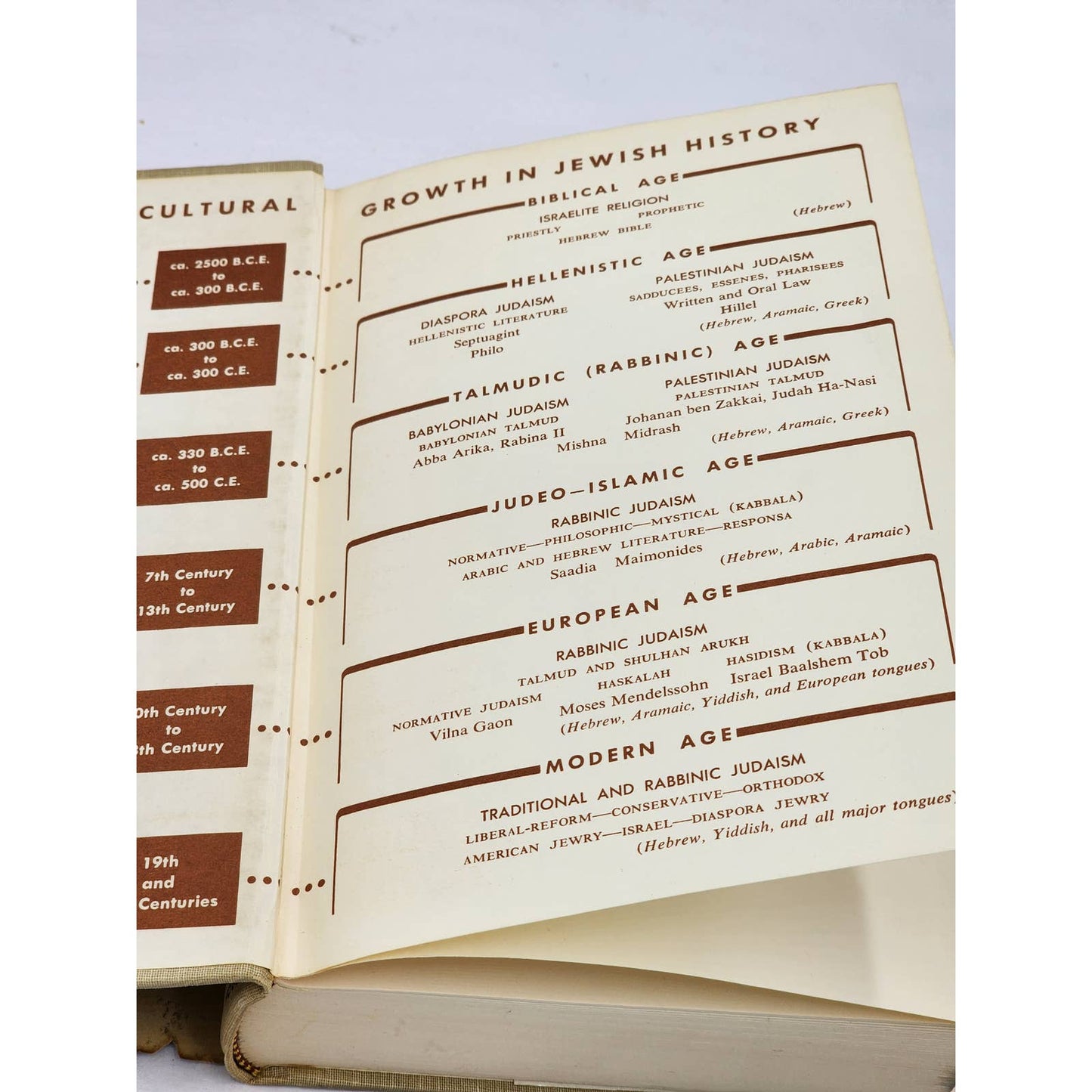 Great Ages Ideas Of The Jewish People By Leo Schwarz First Printing Vintage 1956