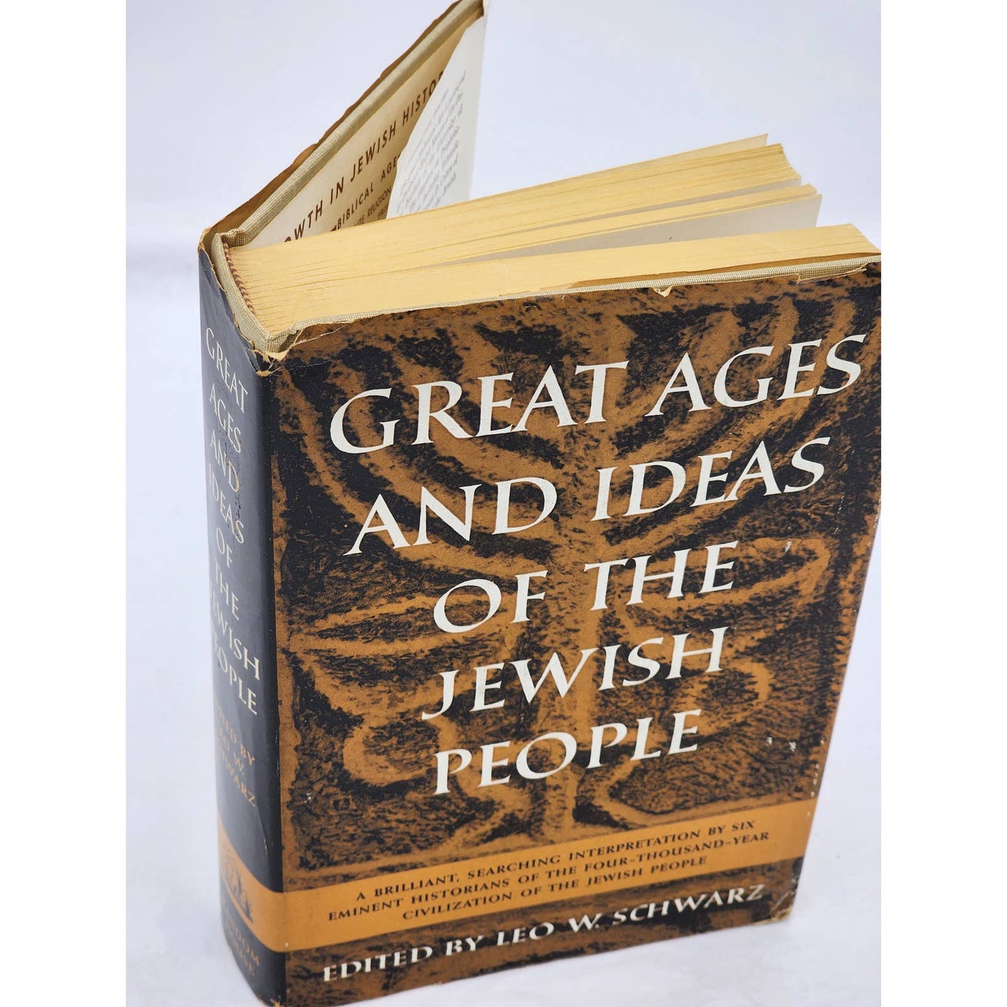 Great Ages Ideas Of The Jewish People By Leo Schwarz First Printing Vintage 1956