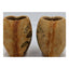 Spice Plants Jars Pair Nutmeg Myristica Moschata Black Pepper Piper Philippines