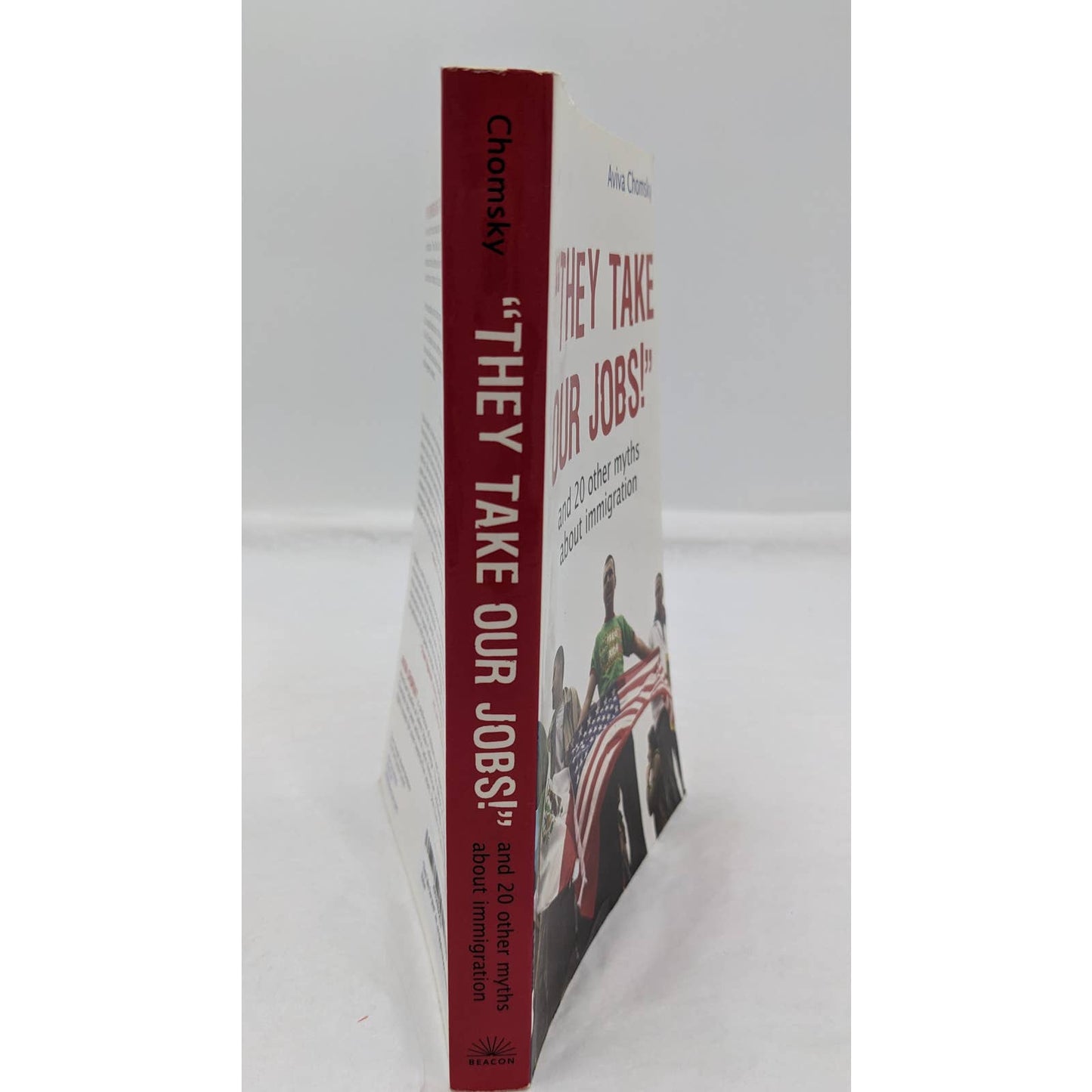 They Take Our Jobs And 20 Other Myths About Immigration 2007 By Aviva Chomsky