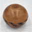 Ken Williams Native American Navajo Pottery Ye'i Holy Person Rainbow Guardian