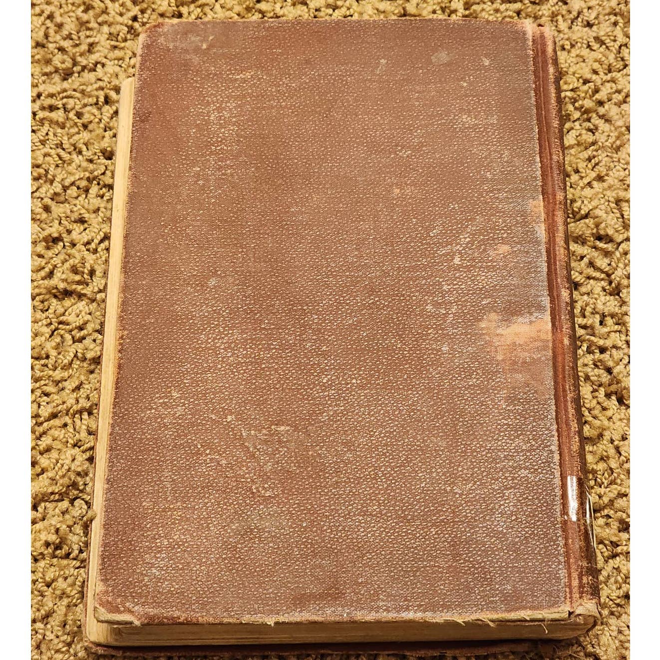 1889 Struggles And Triumphs Or Sixty Yrs Recollections of PT Barnum Antiquarian