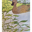 Have You Seen My Duckling? By Nancy Tafuri Scholastic Childrens Book