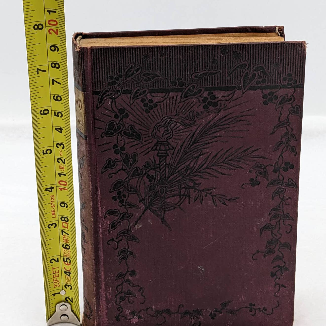 We Two By Edna Lyall Novel Book Antiquarian