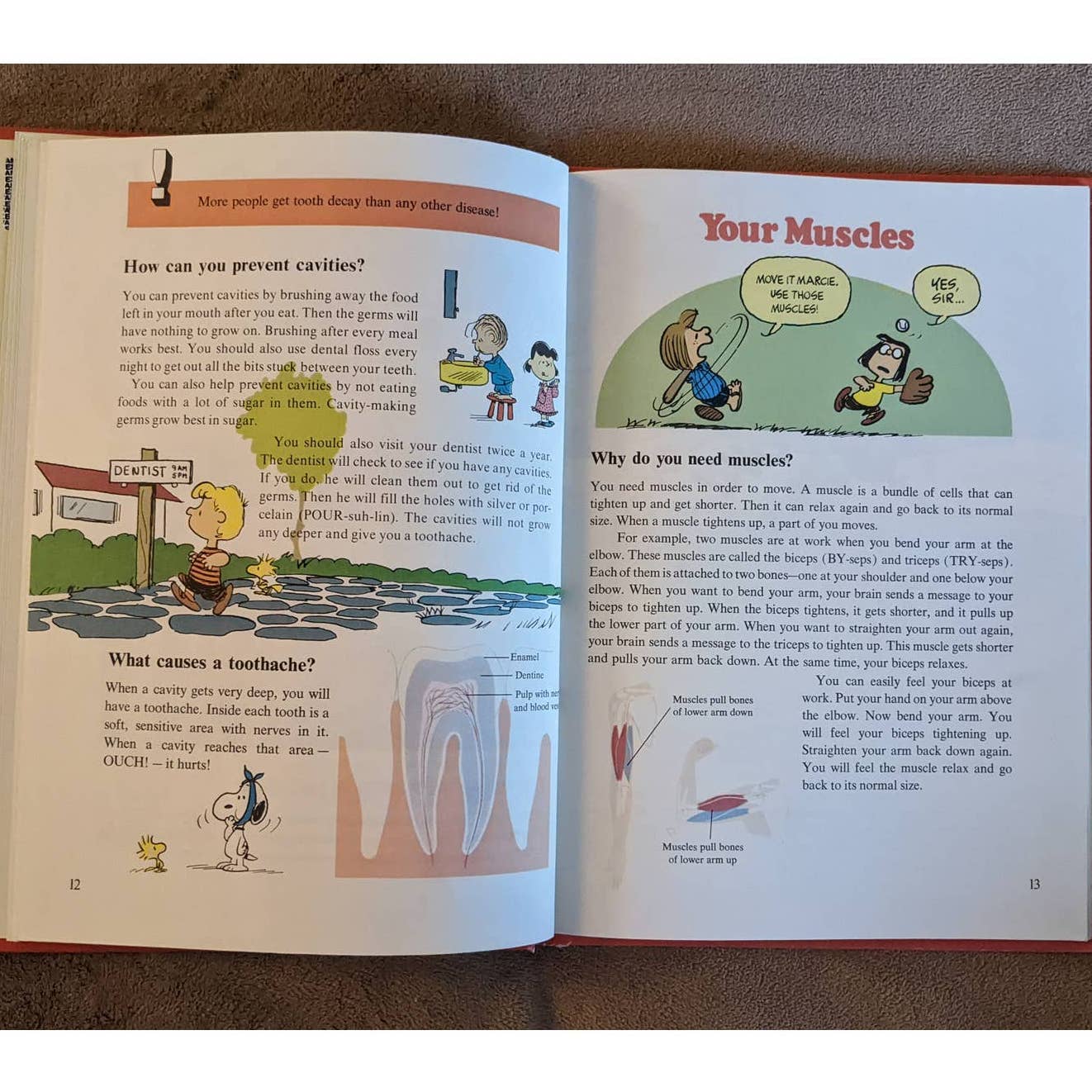 Charlie Brown's Cyclopedia, Featuring Your Body Volume 1 By Charles M. Schulz