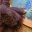 Large Native American Style Dream Catcher 47" Signed Feathers Wool Beaded Eagle