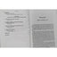 Popular Catholicism In A World Church Seven Case Studies In Inculturation 1999