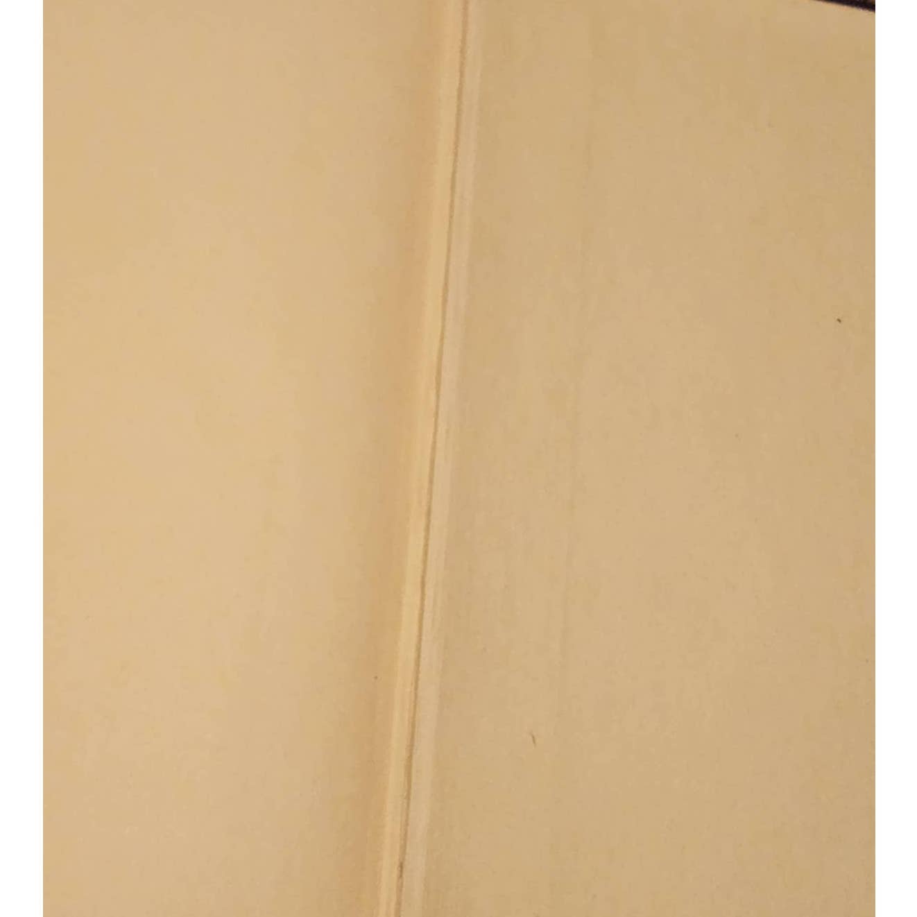 Disraeli A Picture Of The Victorian Age By Andre Maurois, First Printing 1928