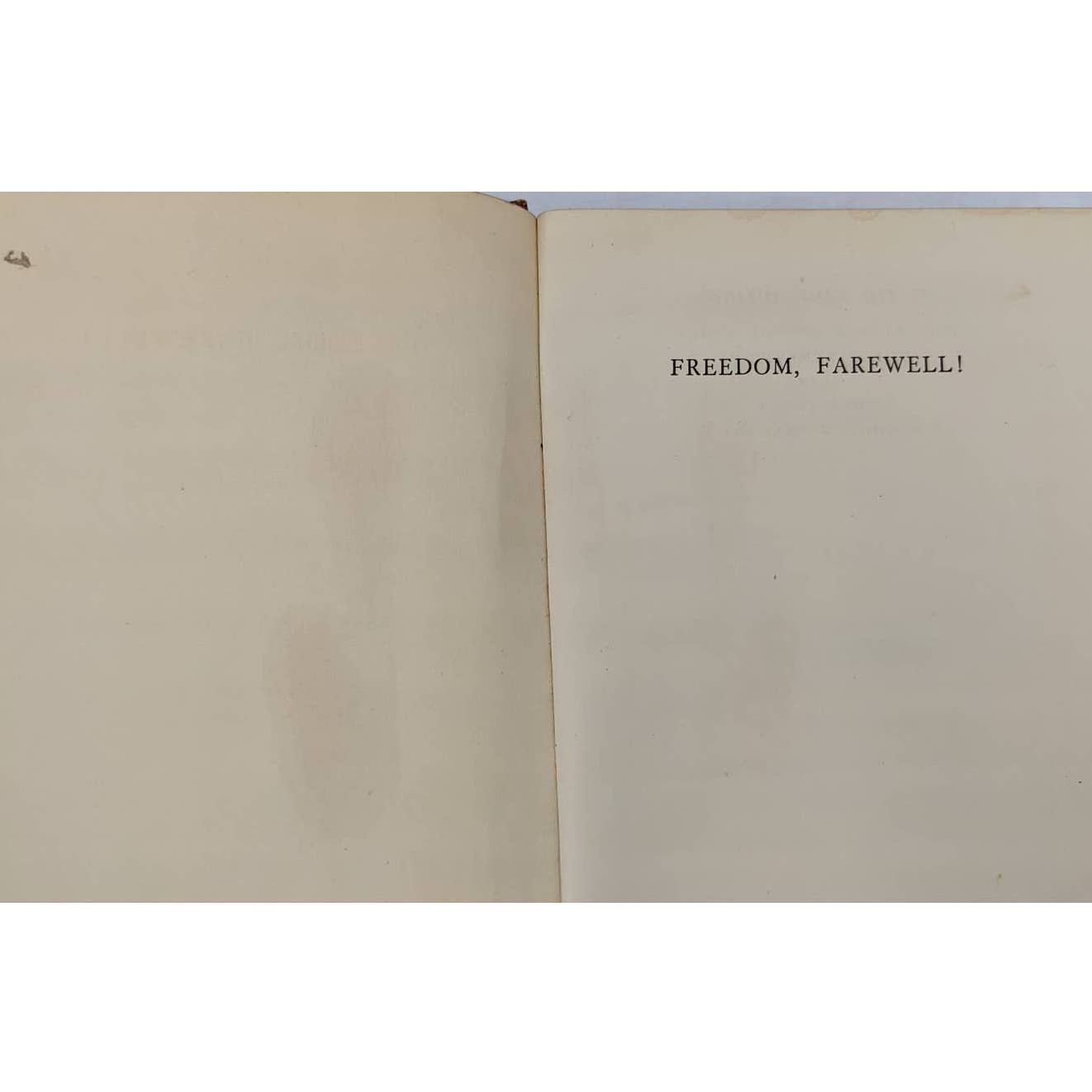 Freedom, Farewell By Phyllis Bentley Vintage Novel Book 1936