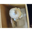 Precious Moments Fan Special 1990 Sharing The Good News Together 1991 Box & Tags